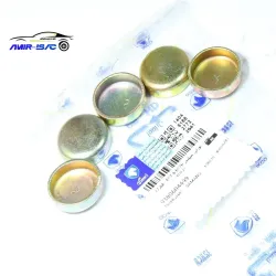 پولک مجرای آب بلوک سیلندر سمند-ایساکو