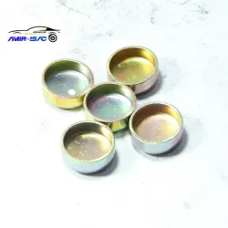 پولک مجرای آب بلوک سیلندر سمند-ایساکو