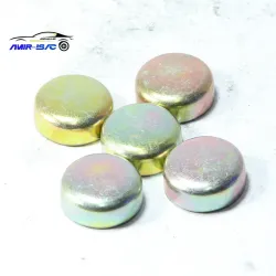 پولک مجرای آب بلوک سیلندر سمند-ایساکو