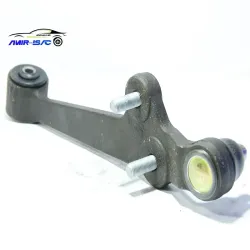 طبق چپ و راست ریو-تیبا - امیرنیا