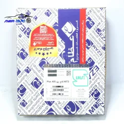 دیسک و صفحه 405-عظام پلاس